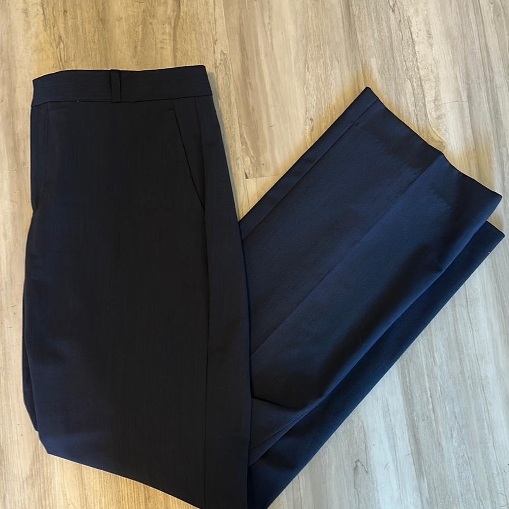 Banana Republic Navy Blue Logan Pants